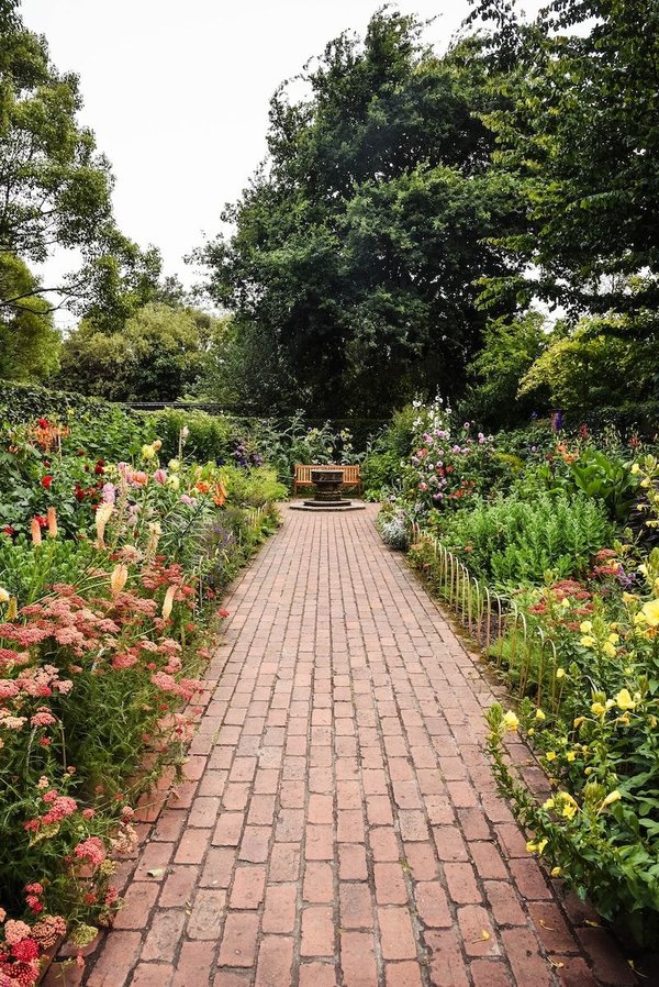 Comment favoriser la biodiversité dans son jardin ?