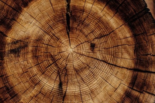 Quels sont les avantages des patères en bois pour la décoration de votre intérieur ?