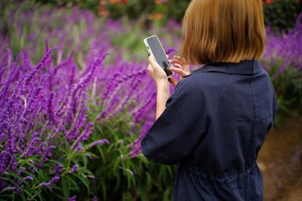 L'utilisabilité: comment ça fonctionne?